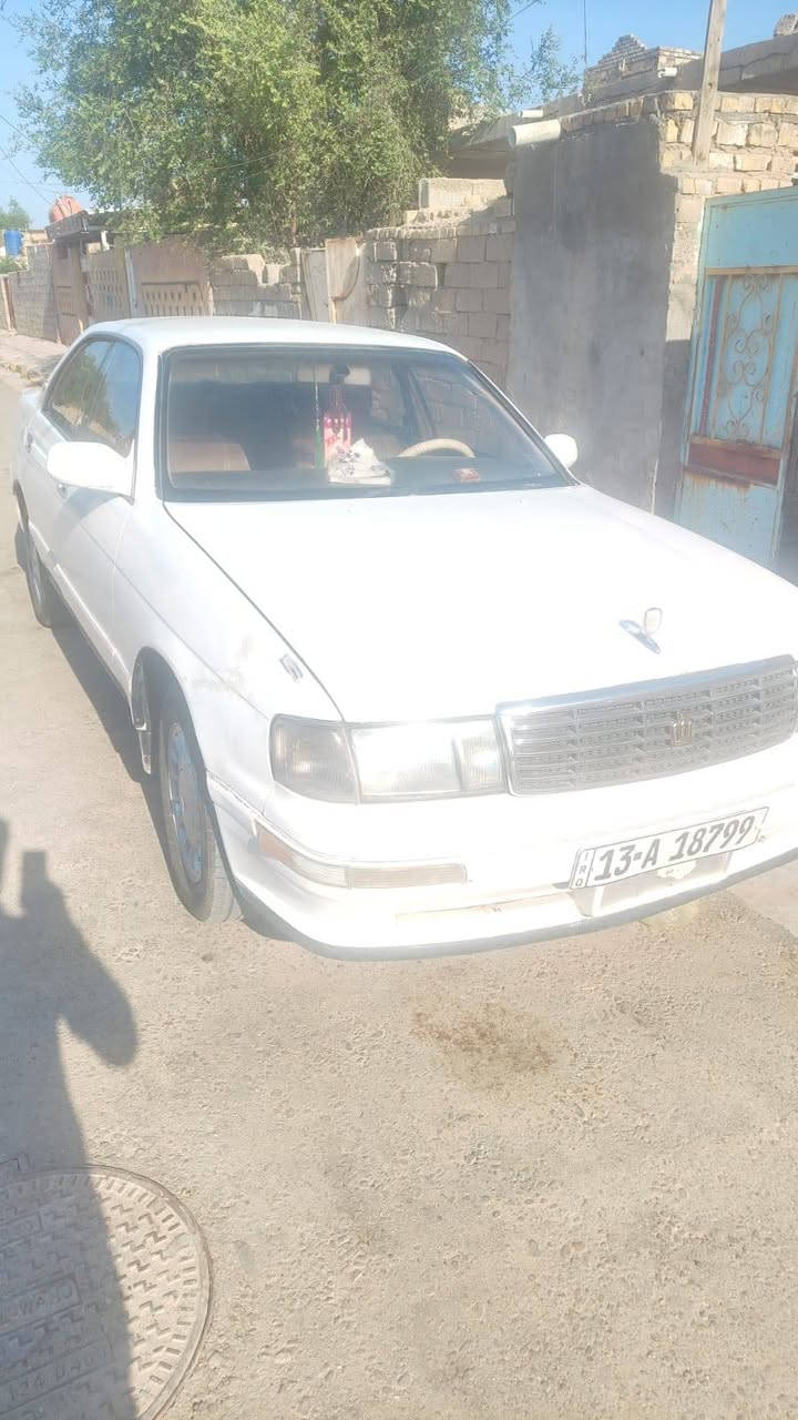 *********** مكلف بل انشر
