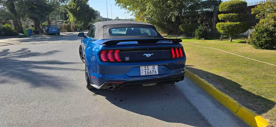 🚗 للبيع | Ford Mustang EcoBoost Premium Convertible 2022

💙 لون أزرق مميز مع سقف كشف أسود، سيارة نظيفة جدًا ومعتنى بيها.

✅ موديل 2022
✅ EcoBoost Premium Convertible
✅ ممشى 82,000 كم
✅ رقم بغداد
✅ Cruise Control (تحكم كروز)
✅ كشف كهربائي
✅ أوتوماتيك
✅ السيارة جاهزة للاستخدام وما تحتاج أي صرف.

💰 السعر: 15,500 دولار

📍المعاينة للجادين، وللاستفسار 
***********

ملاحظة: السيارة نظيفة جدًا محرها وكيرها واللي يدور موستنك كشف موديل حديث راح يعرف قيمتها من يشوفها.

#Mustang #Ford #Mustang2022 #EcoBoost #Convertible #بغداد #سيارات_للبيع #العراق بغداد, العراق
