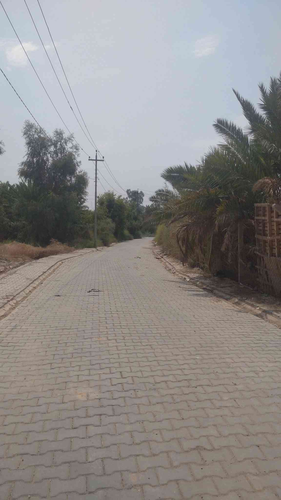 نص دونم • ماء وكهرباء • الديوانية