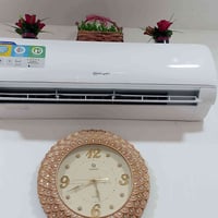 سبلت • طن ونص • بالكرتون