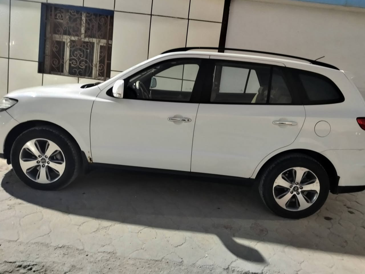 سنتافي • ٢٠١٢ • رقم بابل
