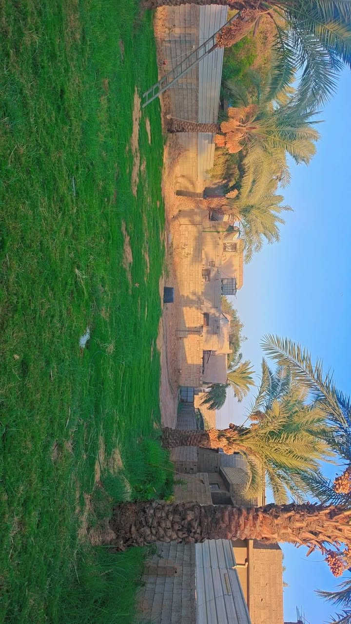 السلام عليكم توجد ارض للبيع مساحه ٩٥٠ متر جسر ديالى العريفيه شارع ابو مروان بل بدايه للتواصل ***********سعر كلش مناسب ٧٣ وبيه مجال
