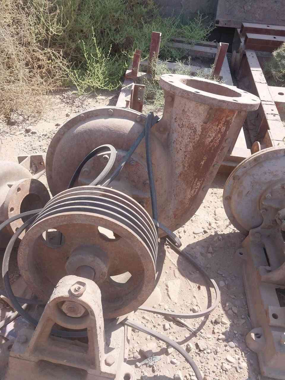 خنزيرة فايق ١٠ ب١٢ خنزيرة هندي ١٠ب١٠ وخنزيرة يابانيا ١٠ب١٠وخنزيرة قمبورية ١٠ ب١٢ ***********
