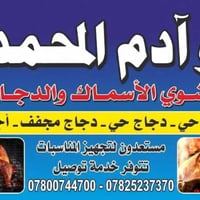 شواية أسماك • دجاج حي • الكورنيش