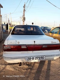 شيزر • ٩١ • رقم نجف