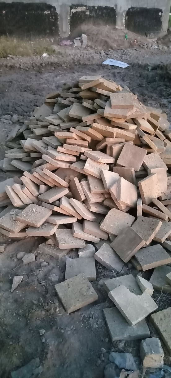 متاح فرشي خضراوي العدد 400 
  او اكثر ليردهن لاتصال *********** محاويل حصن جعفر
