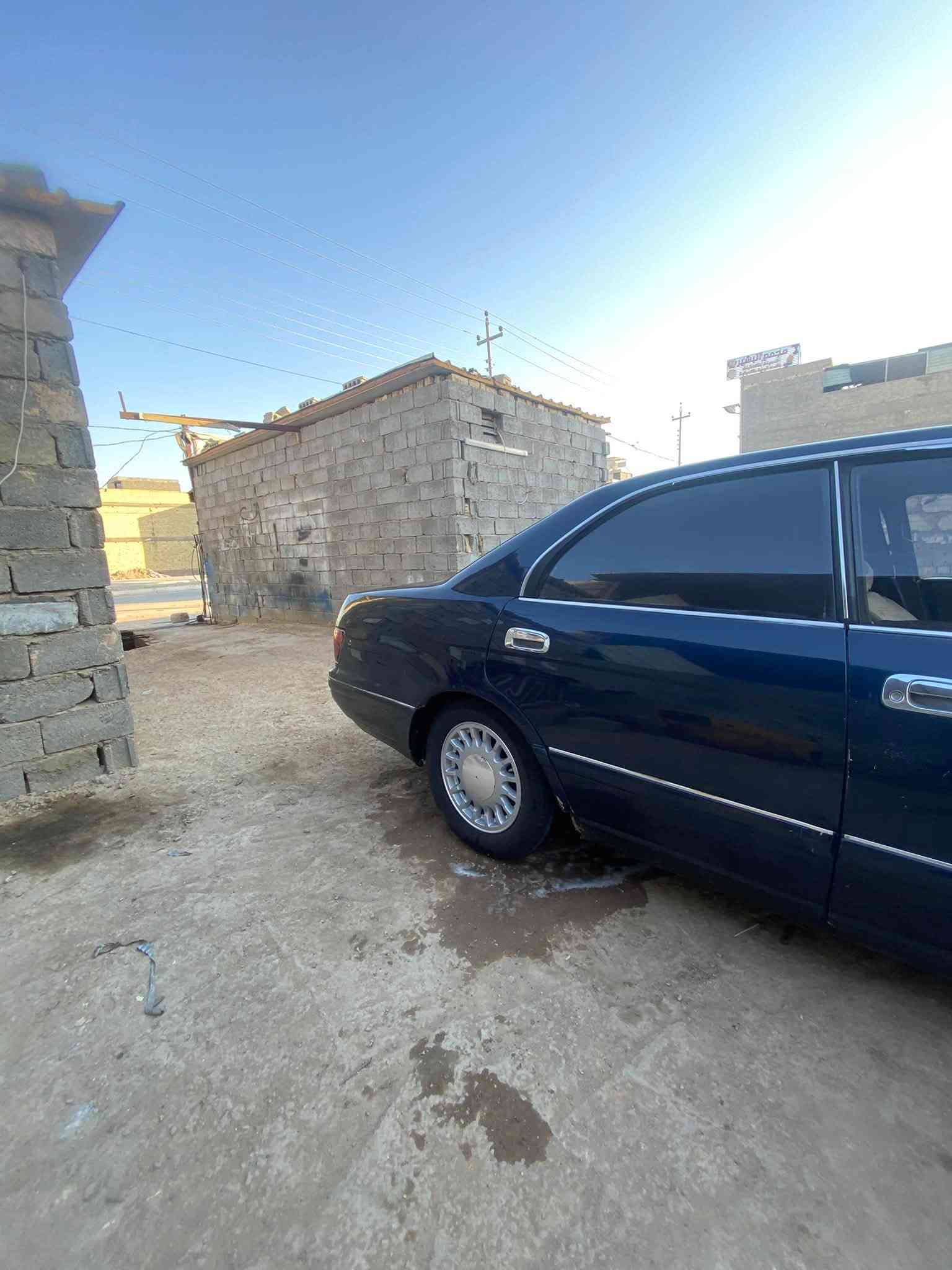 مديل 94 • بطة • مكفولة