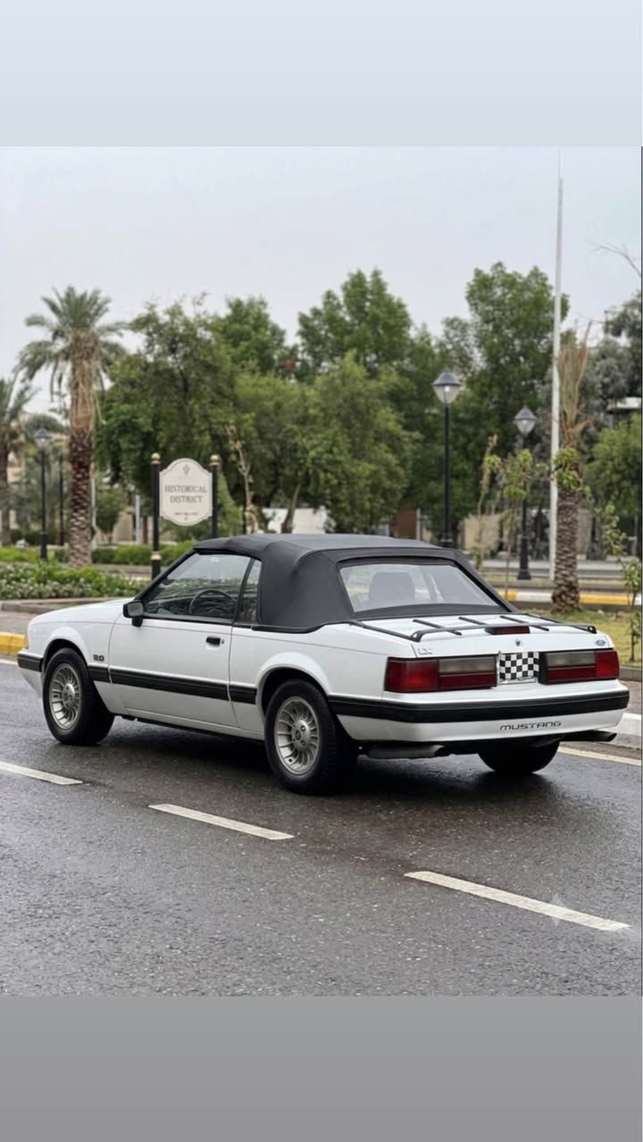 1989 Ford Mustang Foxbody 🔥

أيقونة الثمانينات والـ Muscle Car الحقيقي! 🐎💨

🛠️ المواصفات والتفاصيل:

 الموديل: فورد موستنج (Foxbody)

 سنة الصنع: 1989

 المحرك: 5.0L V8 (Small Block Ford) 🔥

 ناقل الحركة: [ أوتوماتيك Automatic]

 الدفع: خلفي (RWD) ⚙️

 السياره بلادية و كلش حلوه نصبتهه

محرك كير بلاد مكفولات 

كشف شغال كهرباء

جام اوتو 

داخل جلد لونين 

رقم بغداد حلوه رقمهه باسمي سعرهه مناسب 

مكانهه بغداد حي القادسية للاتصال *********** بغداد, العراق
