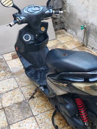 سكنس فحل • نوزل ياباني • دشبول ناقص