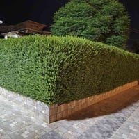 أربيل • حدائق • تصميم ديكور