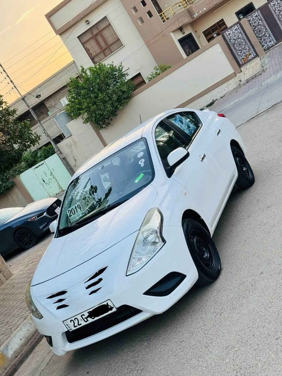 ٢٠١٩ • بدون صبغ • رقم اربيل