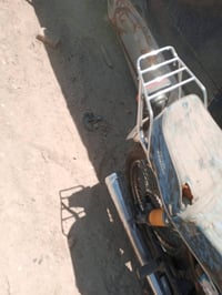 ارشا • محجوزه • معاملة كاملة