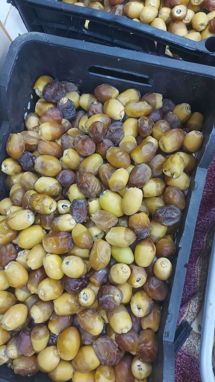 السلام عليكم يوجدلديناانواع التمور @يوجدخدمةتوصيل ***********

