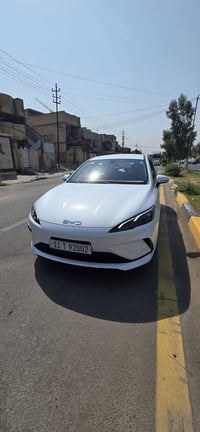 بايد سيل ٥ • ماشية ٢٤ الف • مراوس