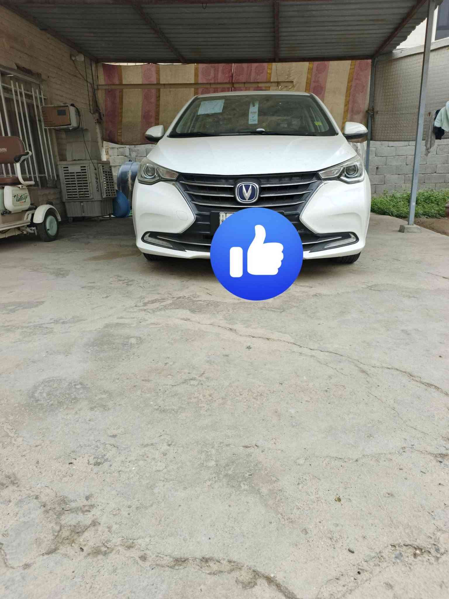 شنجان Lسفن • ٢٠٢٢ • كفاله عامه