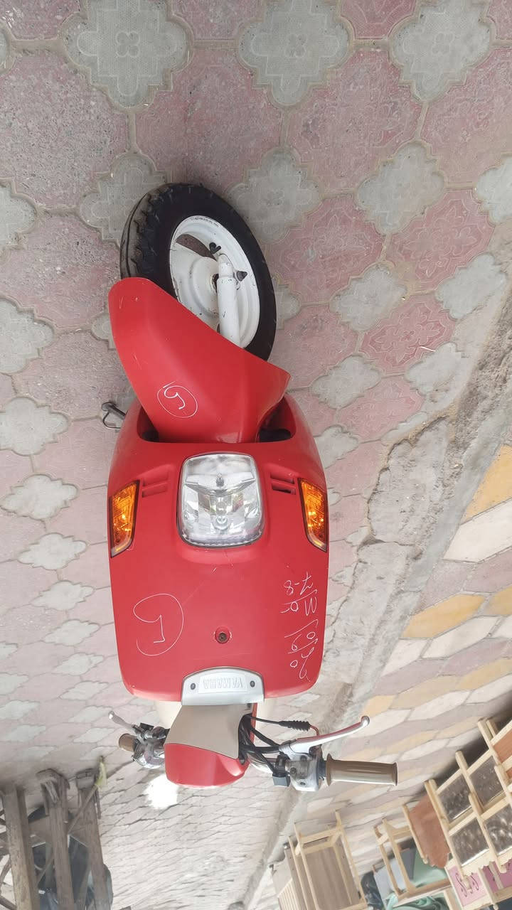 بوليس • ٢٠٠٨ • بوشة ٥٥