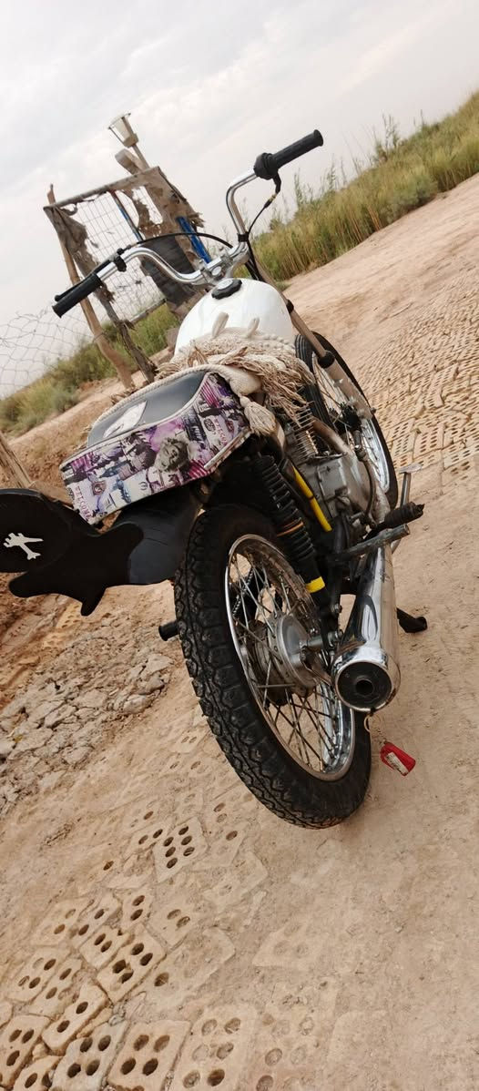 تراوس • جسر ديالى • بغداد