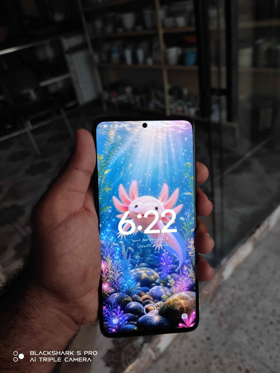 Poco F5 Pro
100%100 xawen 
2 sem global
Kaml ashya
Be keshaya shuxti nya hamu gyani bashart
512GB
Shasha 120Hz
Pubg 120Fbs 
Nrxi 390 w majale kam
La karkukm gayandn haya bo hamu shwene
***********
...........
بوكو اف 5 برو
ذاكرة512
بحالة الوكالة
كامل ملحقات
شاشة120هيرتز
بوبجي يدعم 120 اف بي اس
شخط مابي ومكفول من كل شي
390الف ومجال بسيط
***********
مكاني كركوك توصيل متوفر لكل عراق كركوك, العراق

نص مكتوب في الصور:
- BLACKSHARK 5 PRO
- AI TRIPLE CAMERA
- BLACKSHARK 5 PRO AI TRIPLE CAMERA