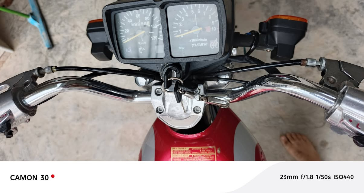 تايگر • ٢٠٢١ • اربعه گير