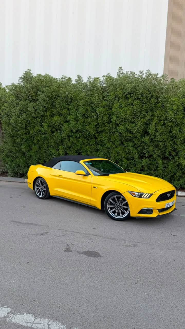 �🔥 للبيع | FORD MUSTANG 2015 CONVERTIBLE 🔥🔥
🇺🇸 فورد موستنغ 2015 كشف
🏁 محرك 3.7 V6
⚙️ أوتوماتيك | دفع خلفي
🔓 كشف كهربائي
📍 الممشى: 103 ألف ميل تقريباً
🔢 رقم بغداد مميز ⭐

✨ شكل رياضي وفخم وحضور قوي بالشارع
🚘 السيارة جاهزة للفحص
🔍 الفحص مفتوح للمشتري
حادث السياره جاملغ خلفي فقط بقيه السياره كلها سليمه 
🅿️
💰 السعر: 145 🍋
📞 للتواصل: ***********

🔥 Mustang… مو مجرد سيارة، هذا إحساس. 🔥

للجادين فقط، والله يرزق الجميع 🌹
