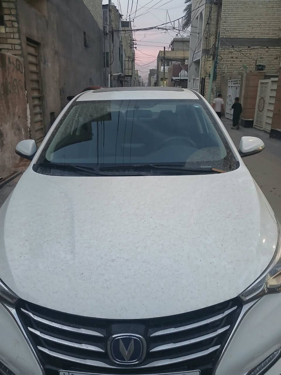 شانجان • ٢٠٢٦ • رقم اربيل