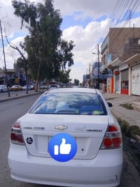 افيو ٢٠١٠ • بدون صبغ • رقم اربيل
