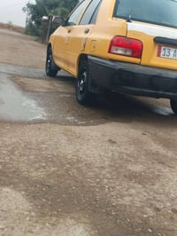 ١٧ سنوية • ٢٠٣١ • كفالة عامة