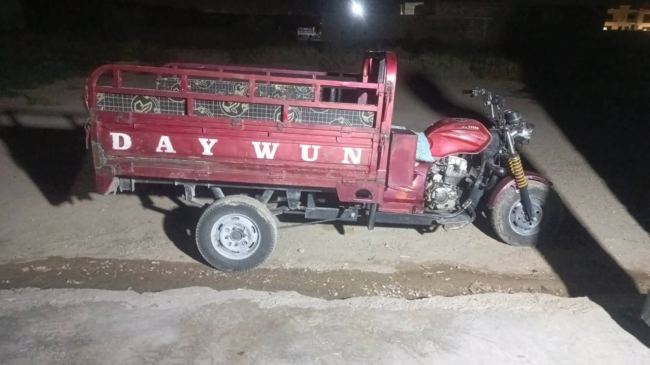 السلام عليكم ستوتة دايوان فحل للبيع اكسل ام طير اوراق كامله بيهه لحيم بل شاصي مديل 15سعر 700 وبيهه مجال
