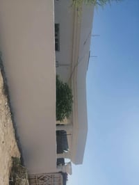 اللهم صل على محمد وآل محمد دار زراعي للبيع  290 متر غرفه وصاله واستقبا...
