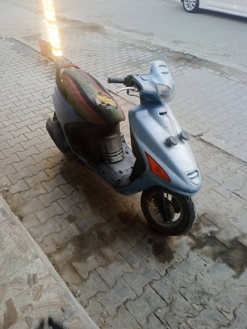 فراشة • فحل • سحك سلف