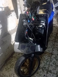 سكنس فحل البيع بكاني بغداد لامين الثانيه الستفصار 07733373547