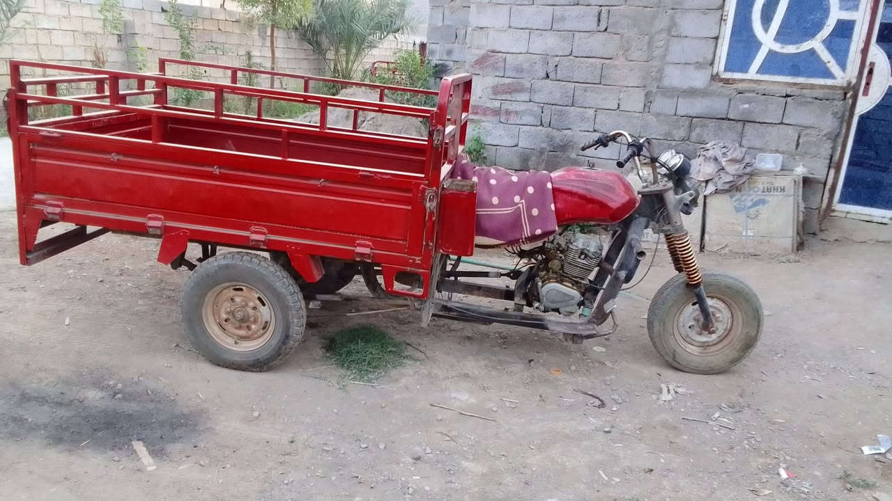 ستوته • موديل ١٥ • اوراق كامله