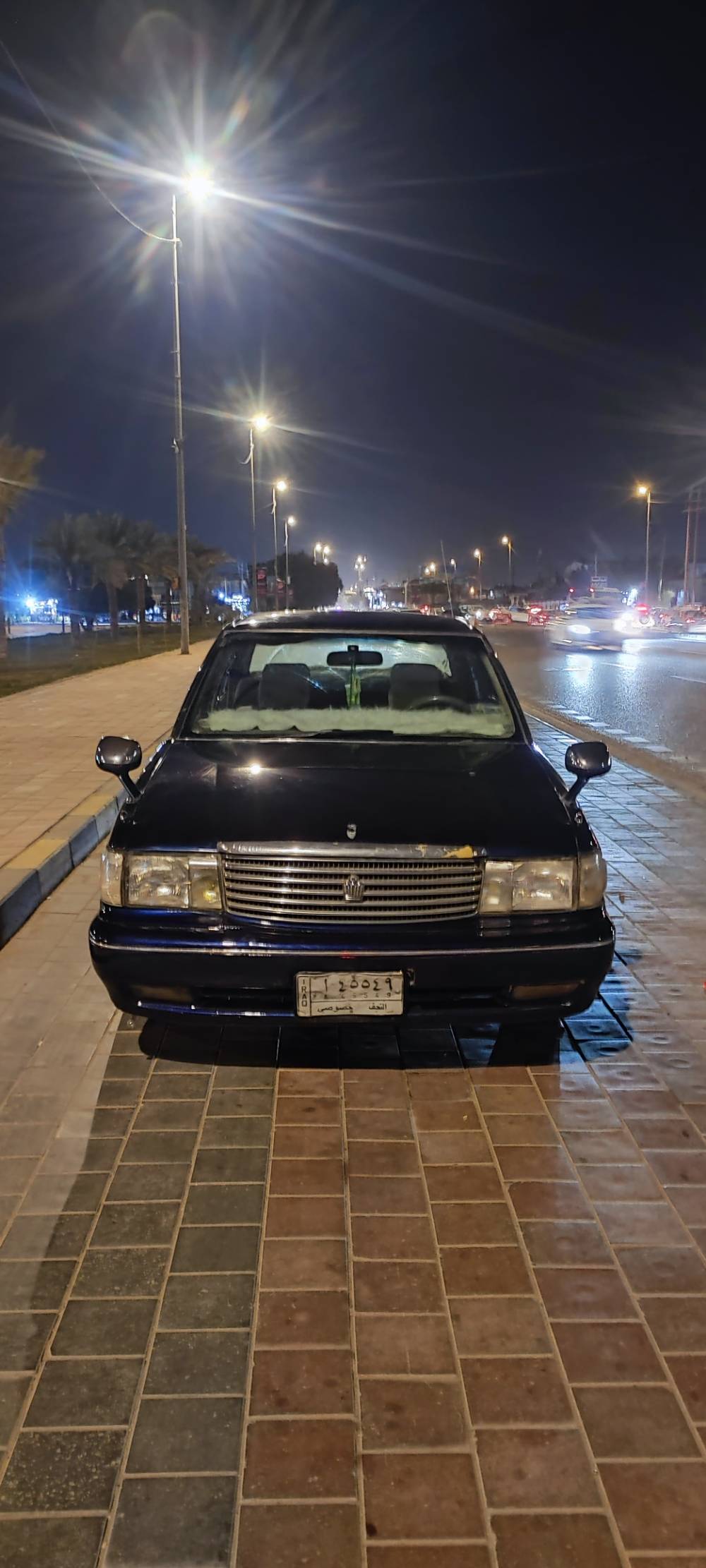 ارنب فحل • مصبوغه جماليه • نجف