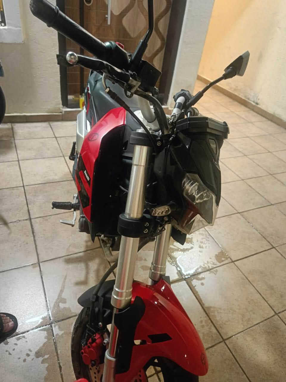 السلام عليكم
مكلف بالنشر 

للبيع دراجة بينيلي Benelli TNT 150

اللون: أحمر وأسود
الموديل: Benelli TNT 150 2023
دراجة رياضية، شكل أنيق وحلو، مناسبة للاستخدام اليومي والشبابي.

محرك 150cc
گير عادي
فرامل ديسك
مرقمة وتحويل ثاني يوم

الموقع: [الكاظمية شارع 60]
السعر: [مليونين ونص] وبيها مجال حگ الجية
للتواصل: [***********]

الدراجة نظيفة و مكفولة ماشية 17000
تاخذها متتعبك وحلوة مرتبة كلش 
كلشي بيها بلادي برغي ما مفتوح بيها
تبديل الدهن يم الشركة بانتظام
بانزين ما شامة ريحة العادي كله محسن
