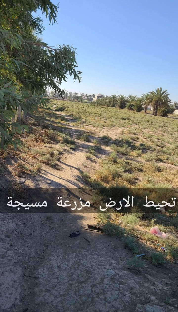 دونم زراعي للبيع
2500 متر مربع
ابوغريب الشيحة على خط السريع مباشر

***********

السعر جدا مناسب ٤٥ مليون فقط 

.
