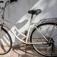 حجم 27 • شغال • نجف مشخاب