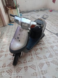 بطة • مجال • البوبيات