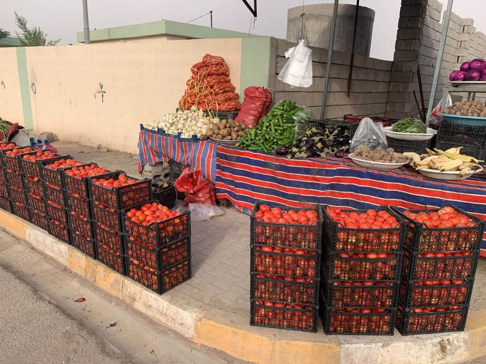 مسواك ١٠/١٨ • طماطه • سوق الزاب
