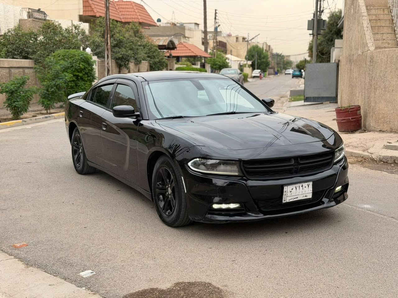 امريكي • ٢٠٢٠ • ٣٧ الف