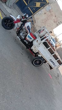 ستوت • موديل ٢٠٢١ • اوراق كامله