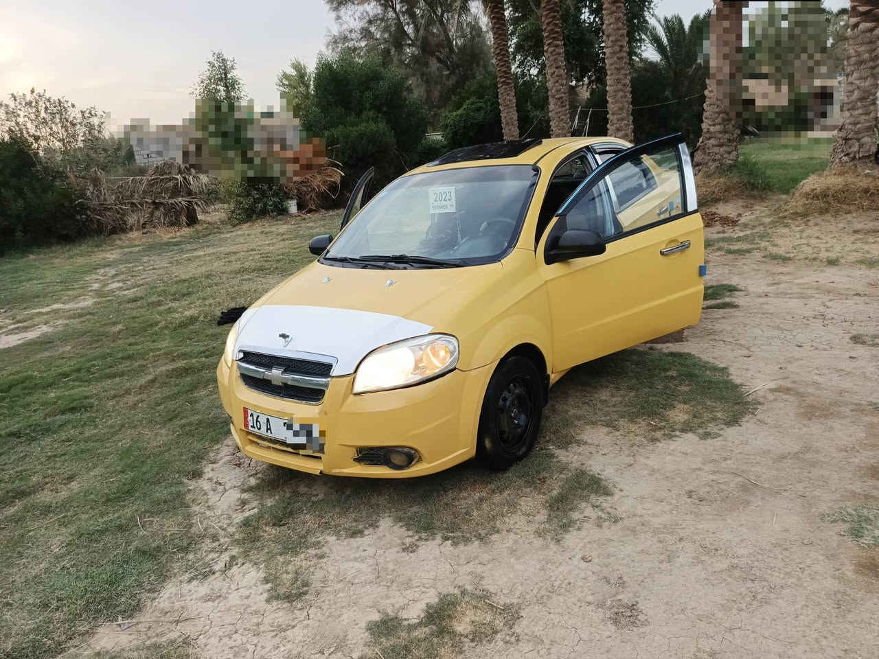 افيو • ٢٠٠٨ • بابل الديوانيه