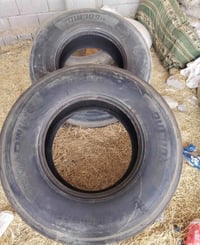 ٢٢ونص • ٣١٥ • البصرة