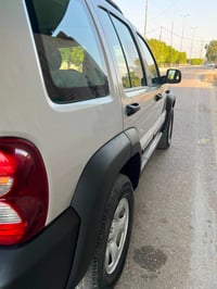 لبرتي • ٢٠٠٧ • كفالة عامة
