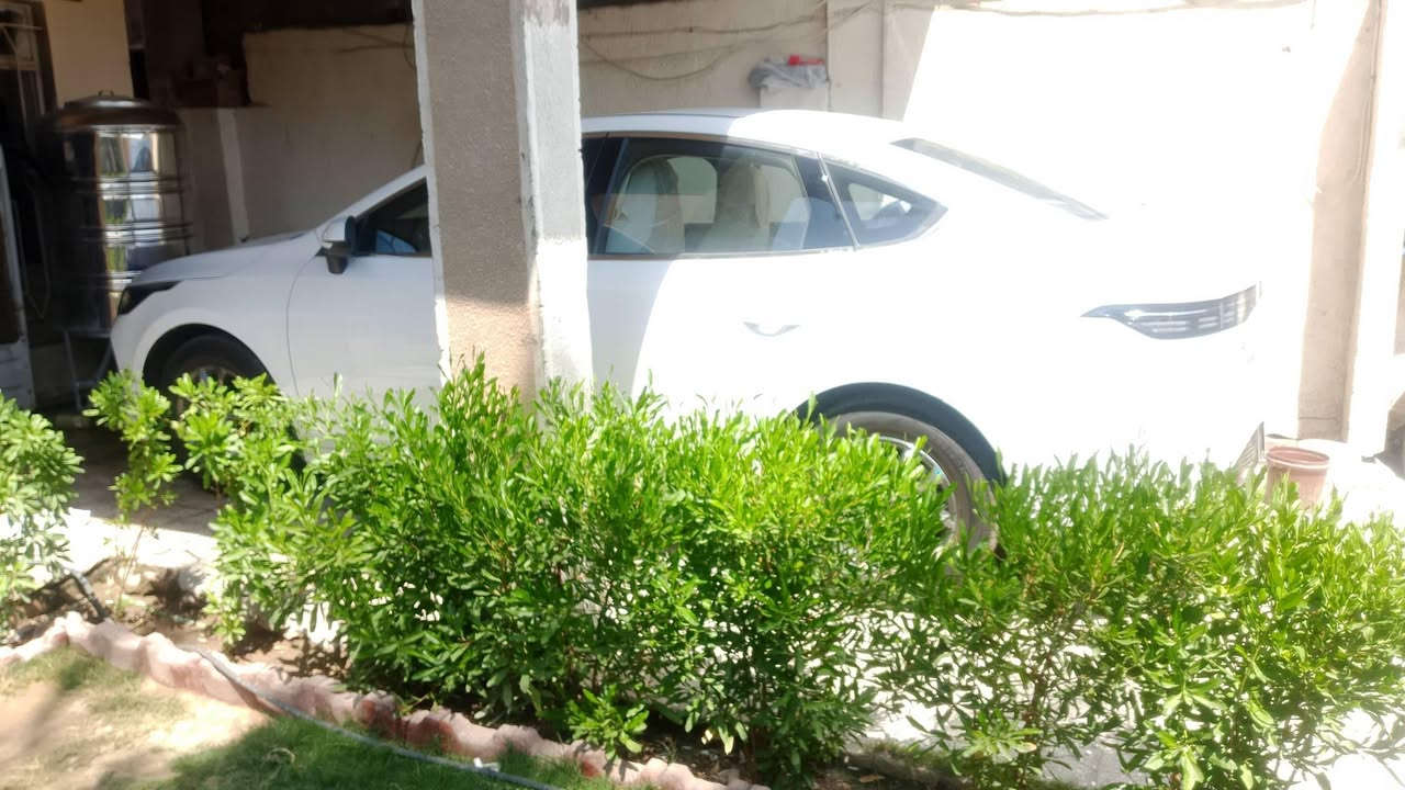 السلام عليكم شباب بي وايدي دسترويل 25 فول فتحه 
بعده زيرو ماماشيه تحويل ثاني يوم مكفوله كفاله عامه لا رصعه ولا بارد كفاله عامه عنواني بغداد البياع موكلف بل 
نشر السعر 21500هاتف ***********
