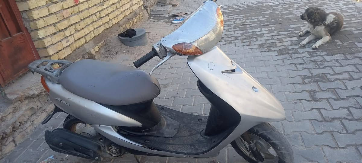 عصفوريه كامله سعر ٢٠٠ بلشعله ***********

