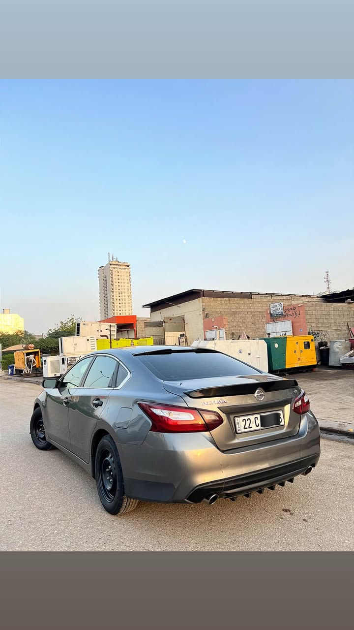 التيما • ٢٠١٦ • أربيل
