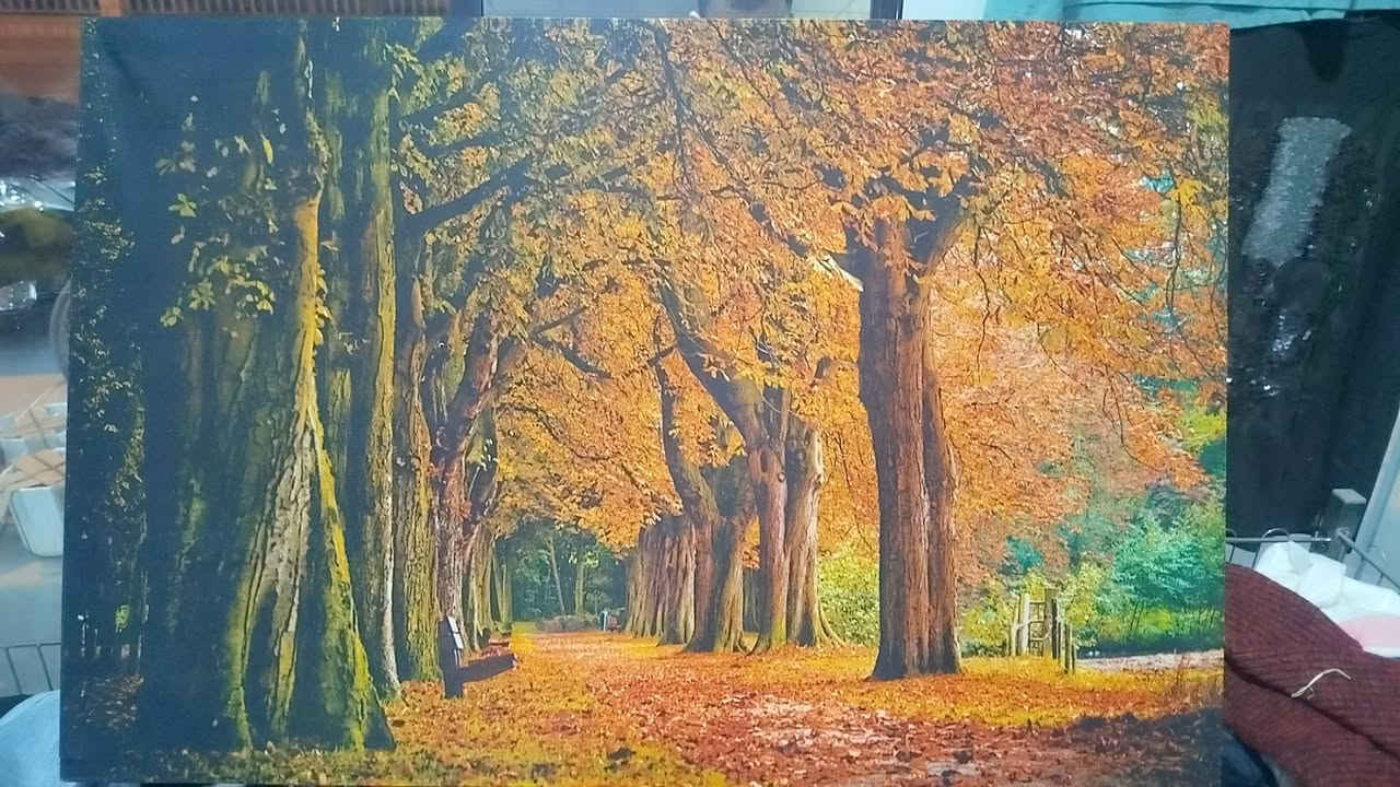 🖼️ تابلۆی دیواری جوان و سەرنجڕاکێش 🍂🌳

✨ کۆمەڵێک دیزاینی جوان و ڕەنگاڵە بۆ جوانکردنی ماڵەکەت
🏡 گونجاو بۆ هۆڵ، ژوور و شوێنی کار
🎨 وێنەی سروشتی پاییز، دارستان، ئاوی ڕووبار و شەمەندەفەر
💎 دیزاینێکی جوان کە ڕووناکی و جوانی زیاتر بە دیکۆری ماڵەکەت دەدات

🛍️ گەیاندن هەیە بۆ تەواوی کوردستان 

📍 سەید سادق، گەرەکی حەسار
نزیک مزگەوتی عومەری کوڕی خەتاب، خوار ئاوەکەی حەسار

📞 ***********

⭐ شوشەواتی ئەورووپی بڕیار
جوانییەک بۆ هەر ماڵێک ❤️

نص مكتوب في الصور:
- B  شرشوانە وروپی بریار تابلوى ديوارى جوانترين وينه يه كان بو ناو ماله كه ت بو هول و ژوور جوانی سروشت كواليتى باش ره نگی روون و زينگه ئه لبه رده سته بو (جومله و تاك فروشی) هه ر تابلوى ك هه ستی د رو راكيش ***********  سه يد سادق گه ره كی حه سه ر نزيك مزگه وتی عومه‌ری کوړی خه‌تاب خوار ئاوەهەکەی حە‌سار
