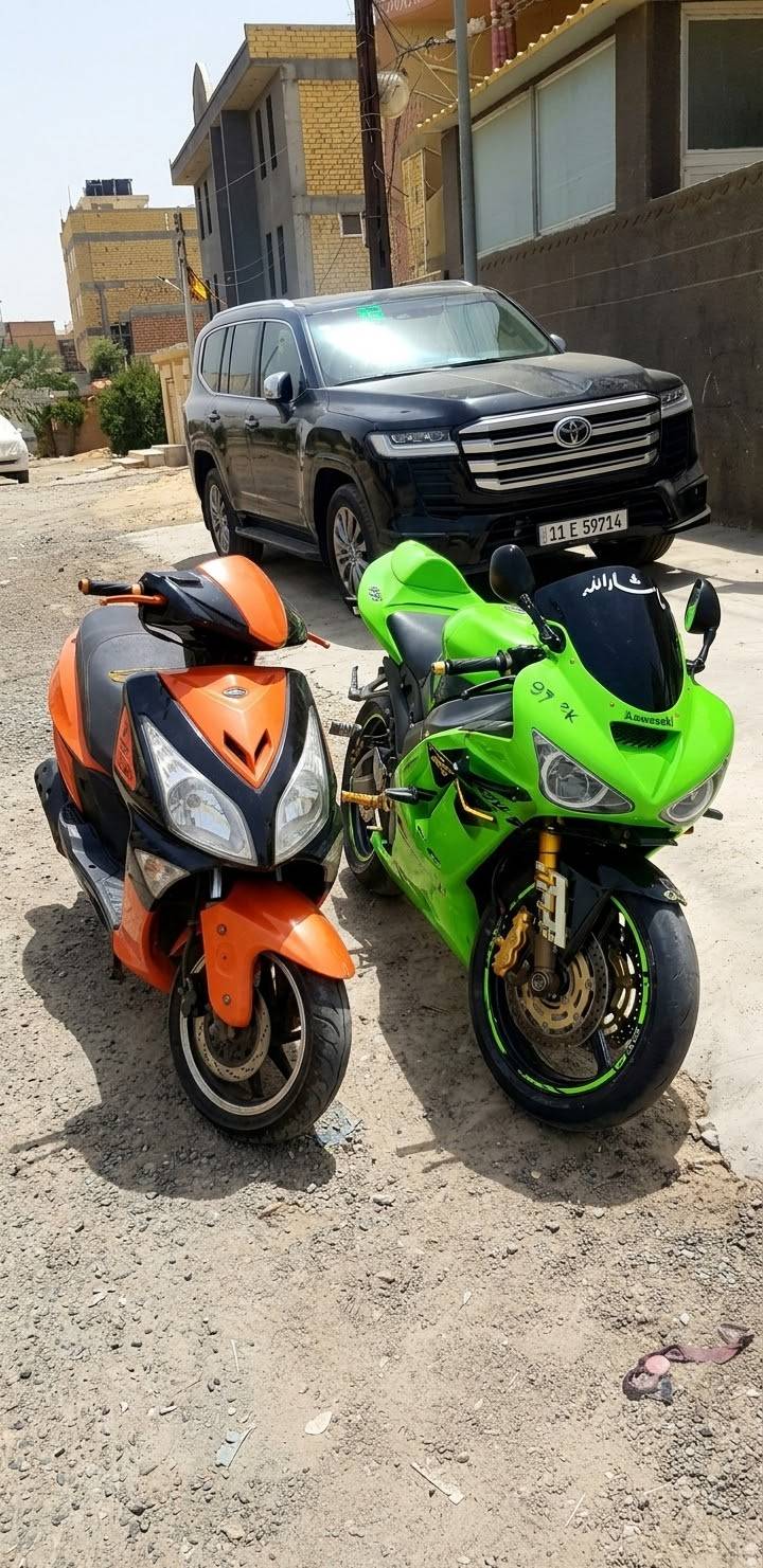 سكنز • ياباني • مامفتوح