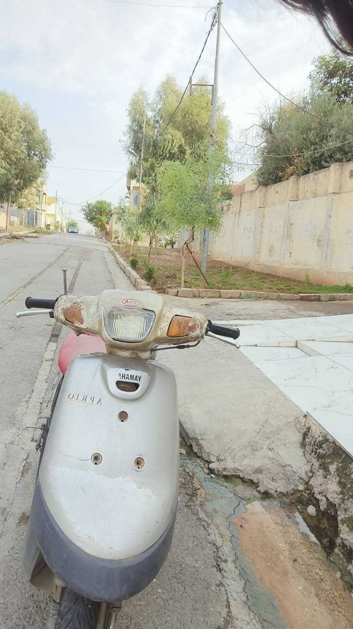 بزون • جديد • شغال شرط
