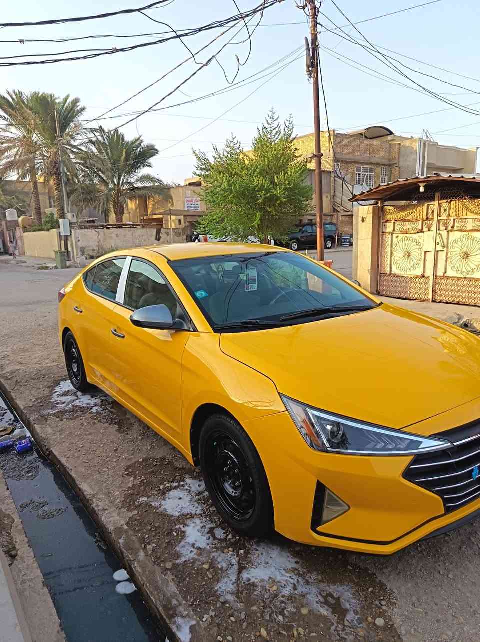 النترا • ٢٠١٩ • وارد امريكي